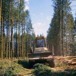 Soirée autour de l'industrialisation des forêts en france